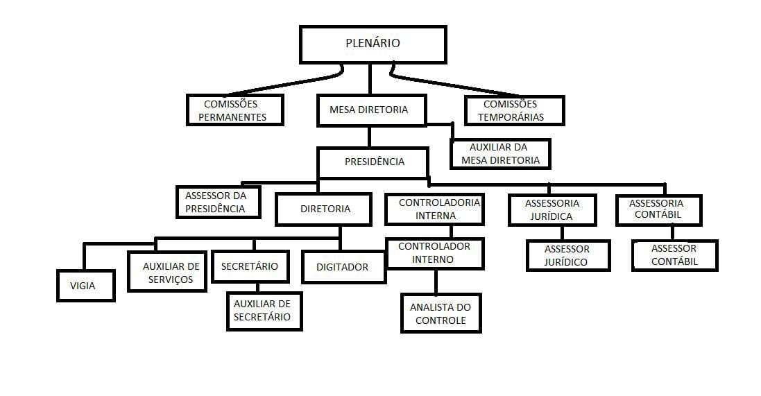 ESTRUTURA DA CAMARA